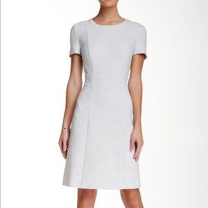Hugo Light Gray Dress